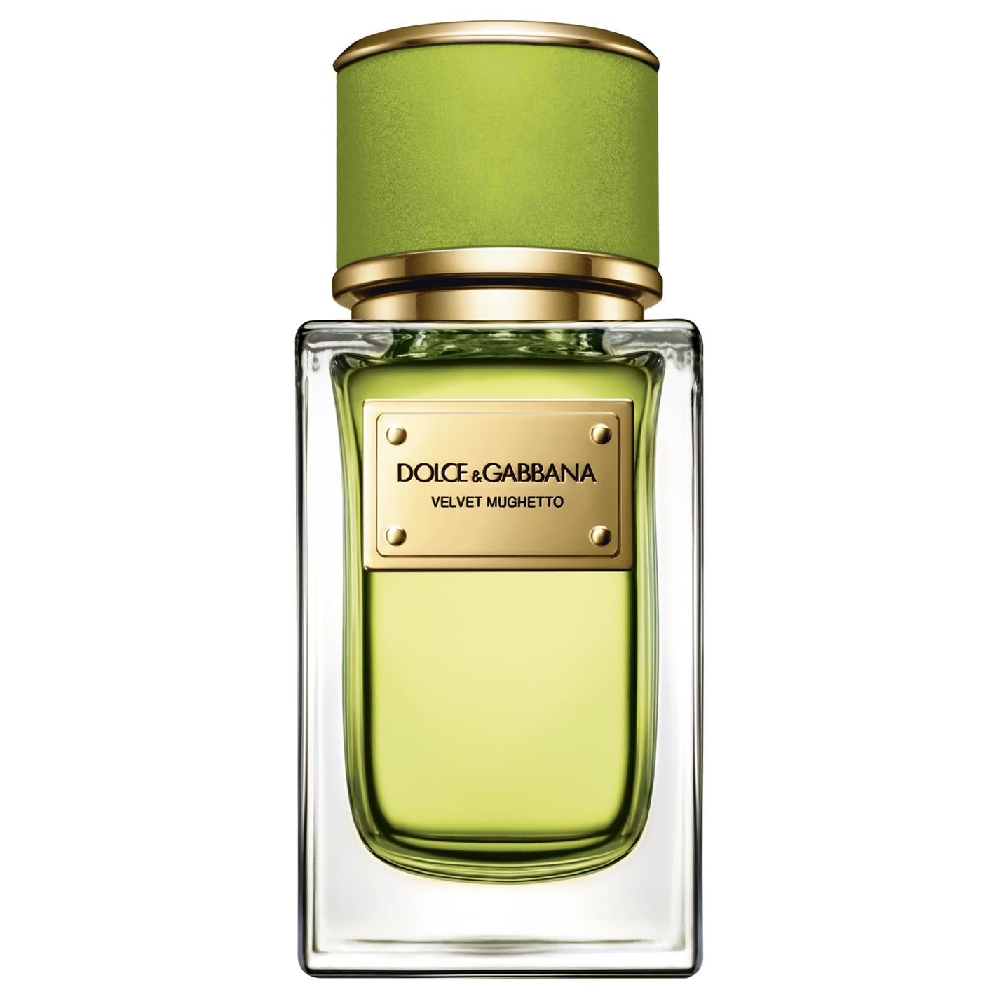 돌체앤가바나 VELVET Mughetto 1.5ml 공식 향수 샘플