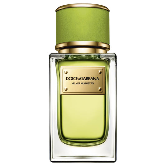 돌체앤가바나 VELVET Mughetto 1.5ml 공식 향수 샘플